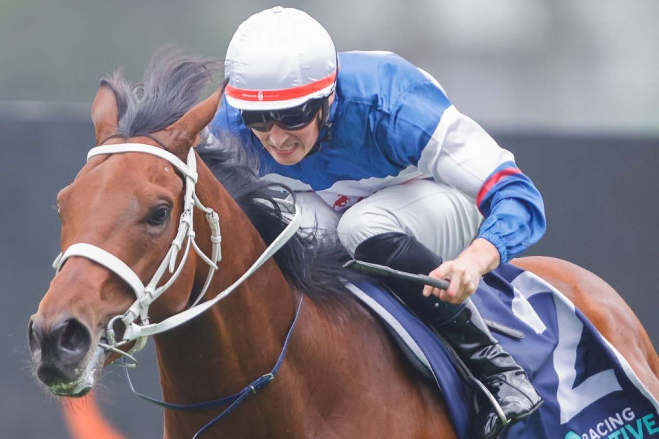 Jockey Tom Sherry punching one home