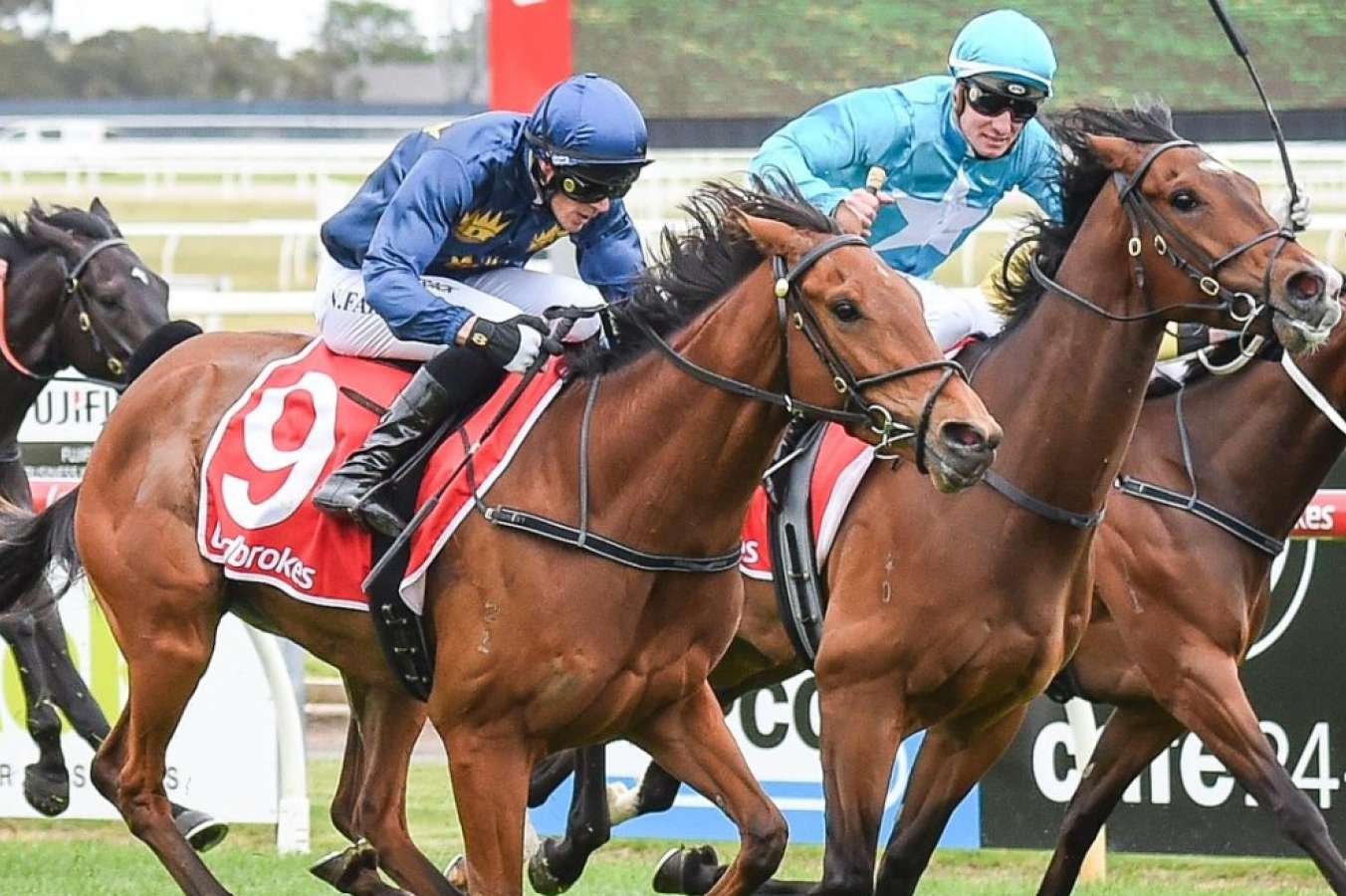 Flemington performance to decide Tasmania trip for Kicking King