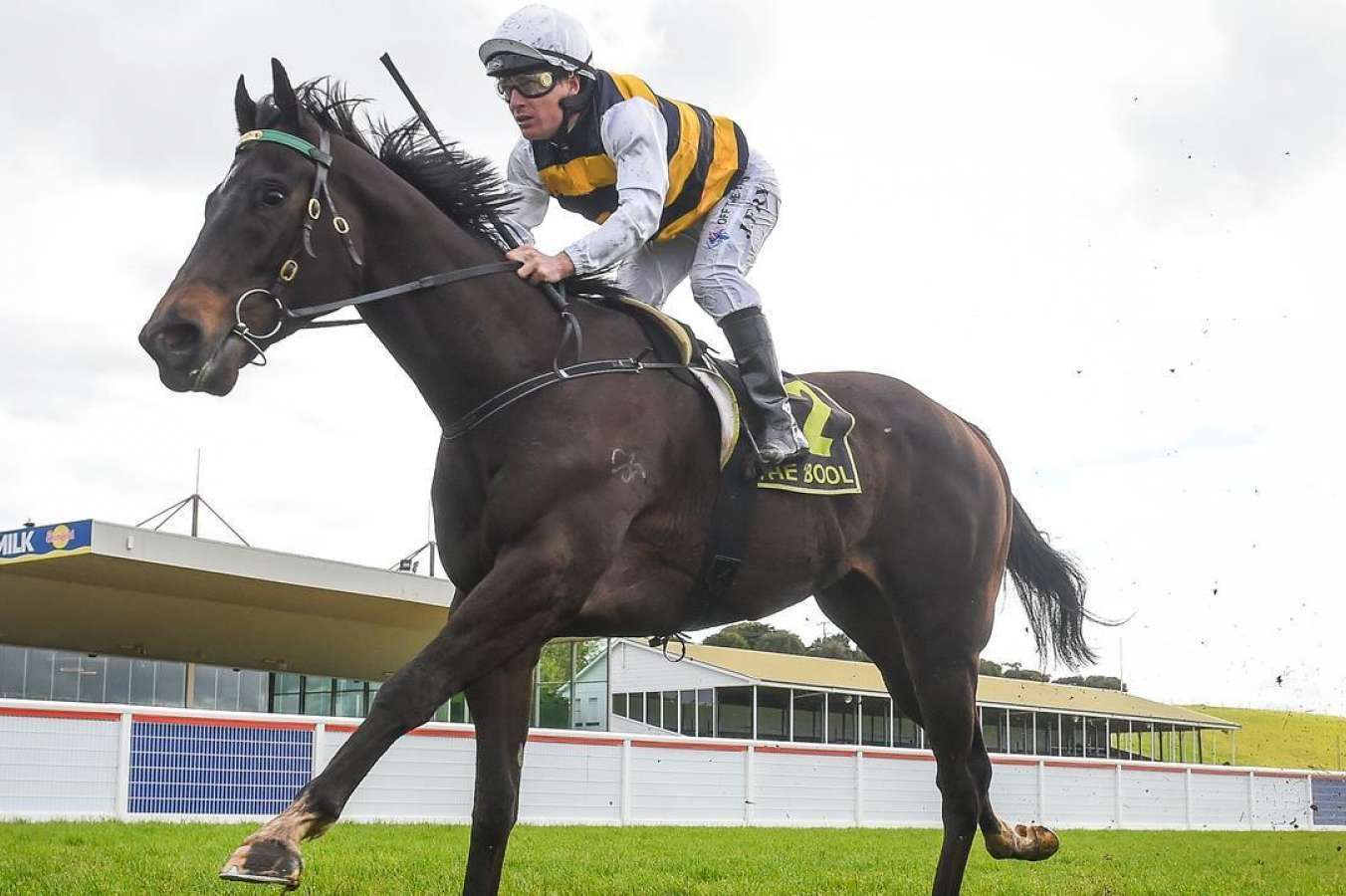 Hamilton Monday tips: $4.20 best bet