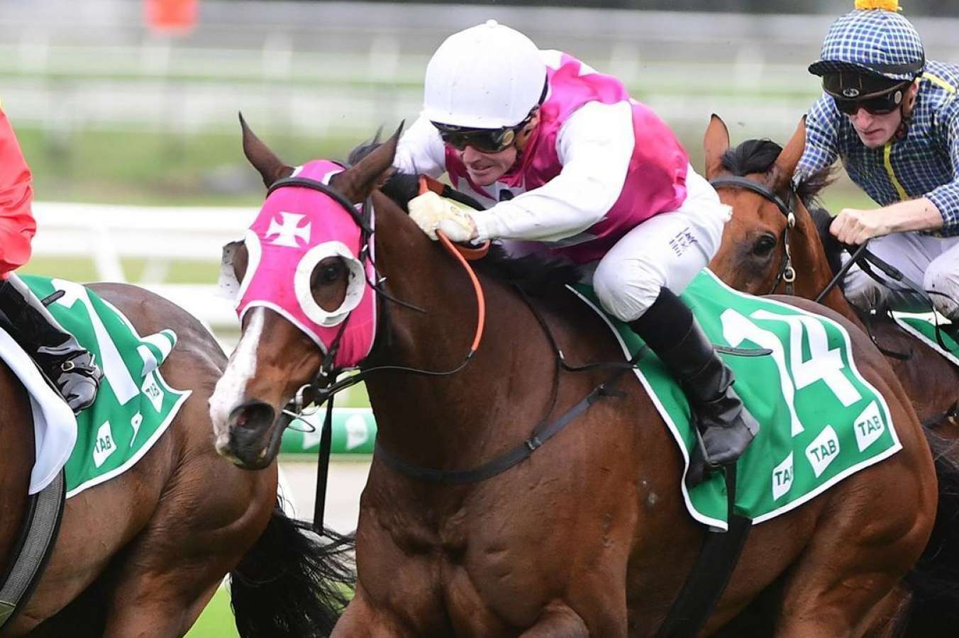 Last Chance salutes at Doomben.