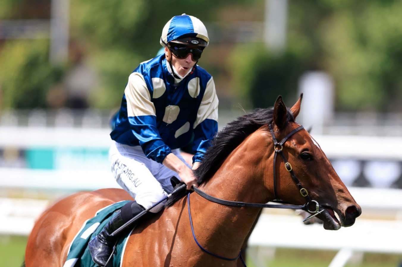 James McDonald declares Coolangatta the Magic Millions benchmark ahead of B.J. McLachlan Stakes - Vimarsana News