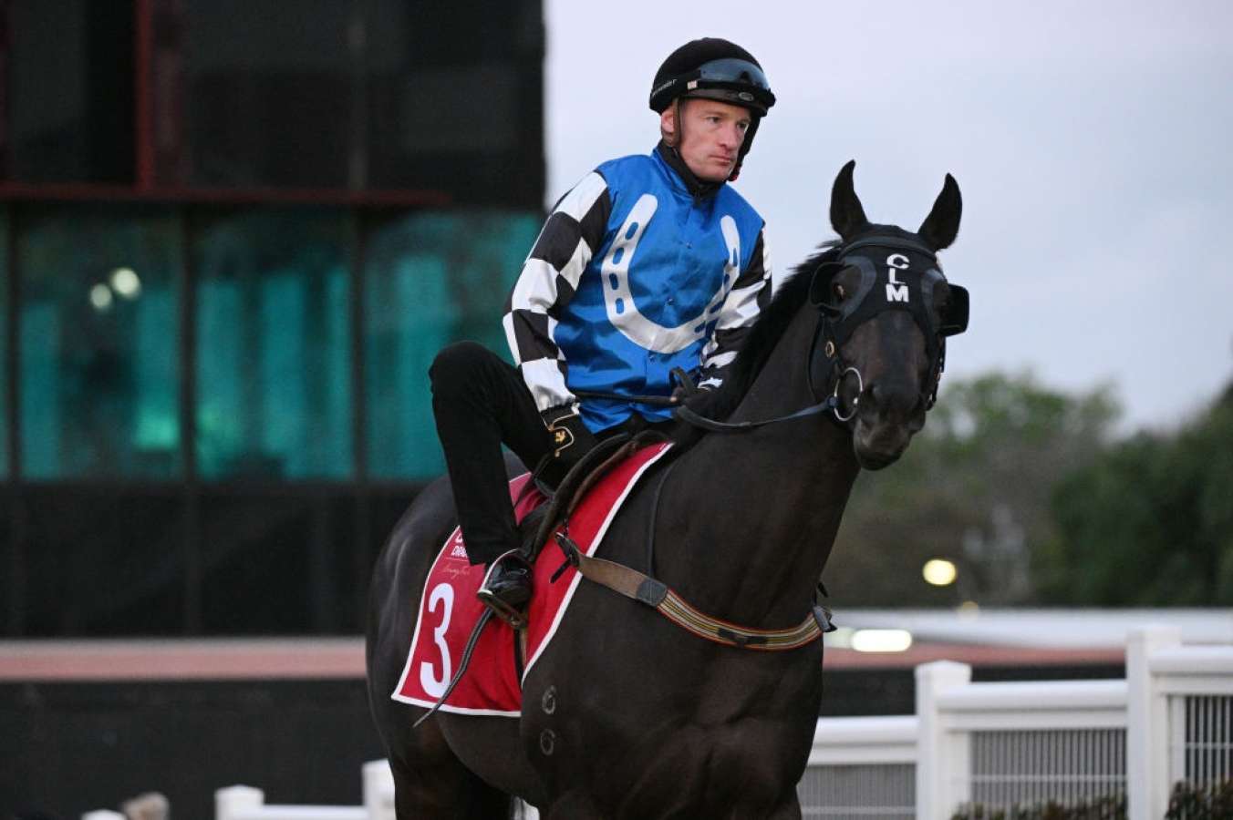 Vivid 'heightened Risk Of Injury': Melbourne Cup Favourite Scratched Landscape Illustration Vivid 'heightened Risk Of Injury': Melbourne Cup Favourite Scratched Landscape Illustration