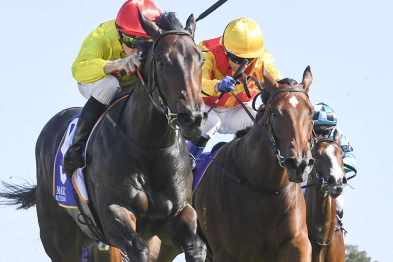 2025 Magic Millions 2YO Classic Memo races for Gary Crispe