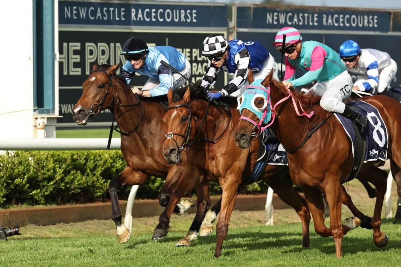 Newcastle Racing Fs Newcastle tips and preview: $21 value bet