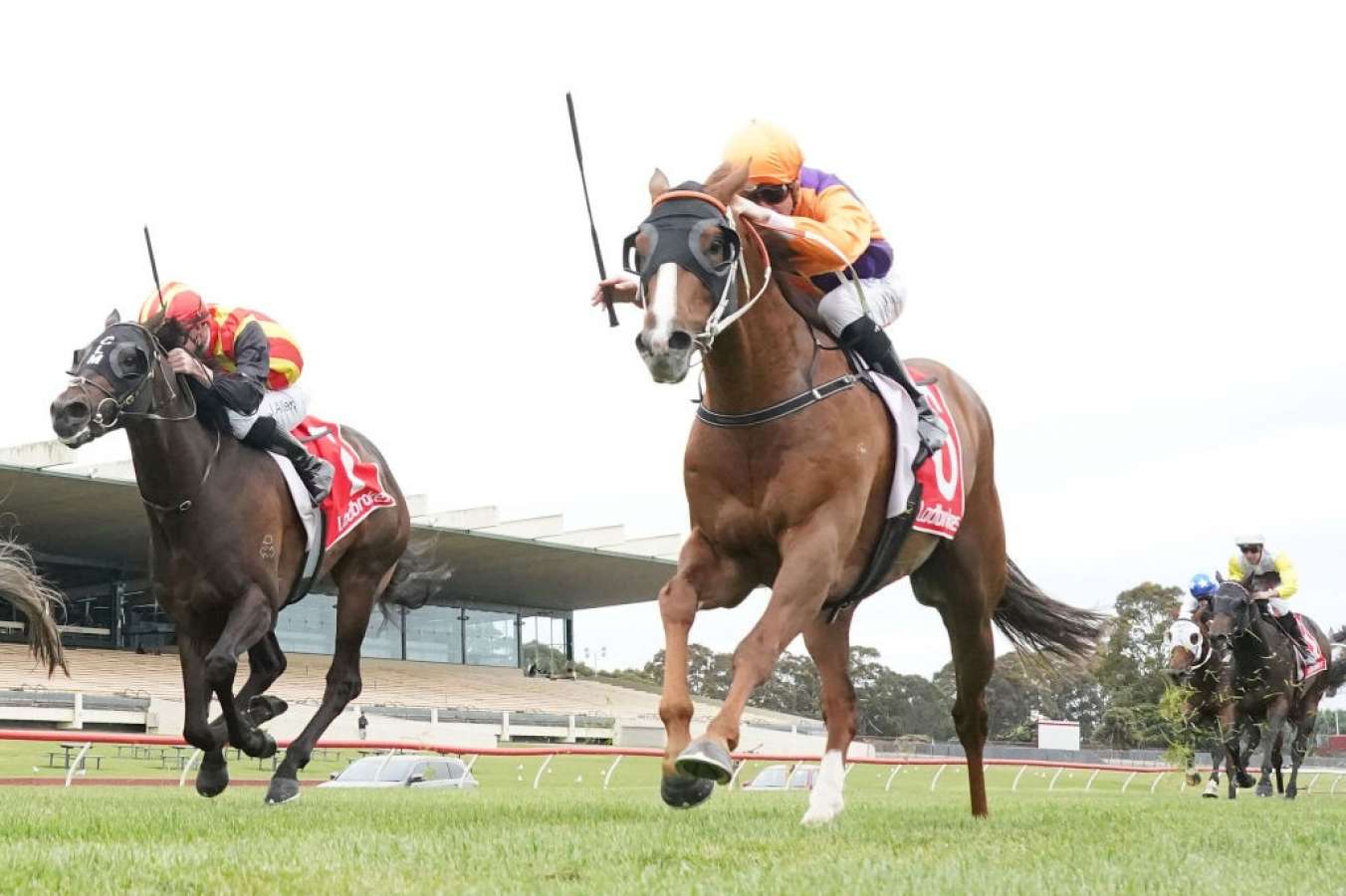 Hot favourite Port Louis rolled again at $1.26 in Sandown maiden - Vimarsana News