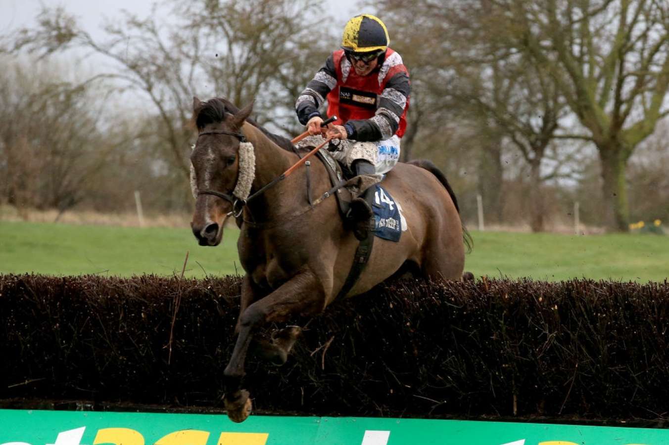 Potters Corner wins virtual Grand National