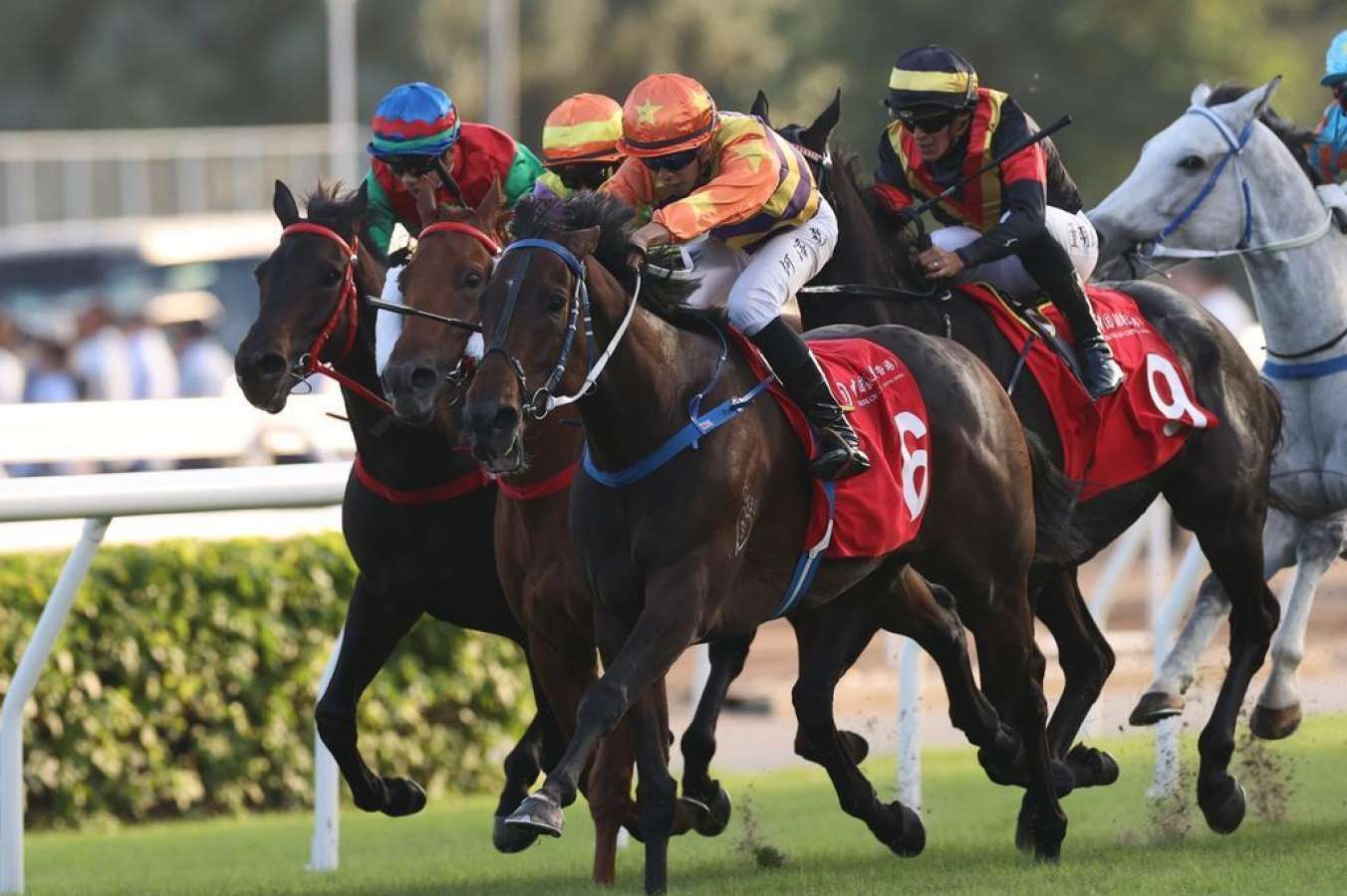 Happy Valley preview and tips