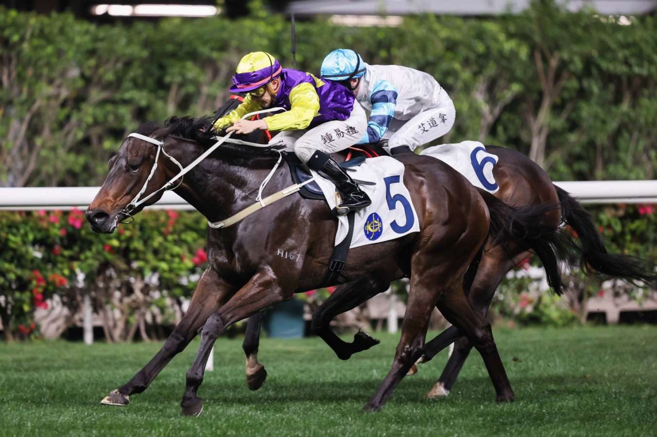 Happy Valley presenter tips and best bets Wednesday, March 20