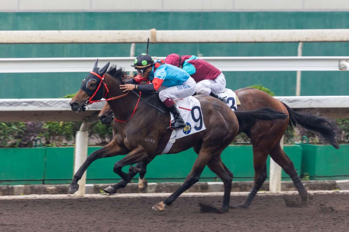 Sha Tin presenter selections: Tips, best bets and longshots [May 10]