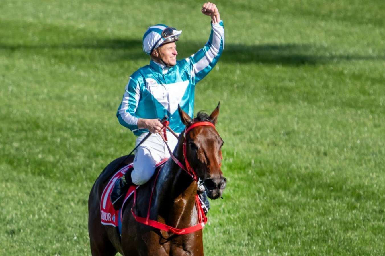 Romantic Warrior won the Cox Plate.