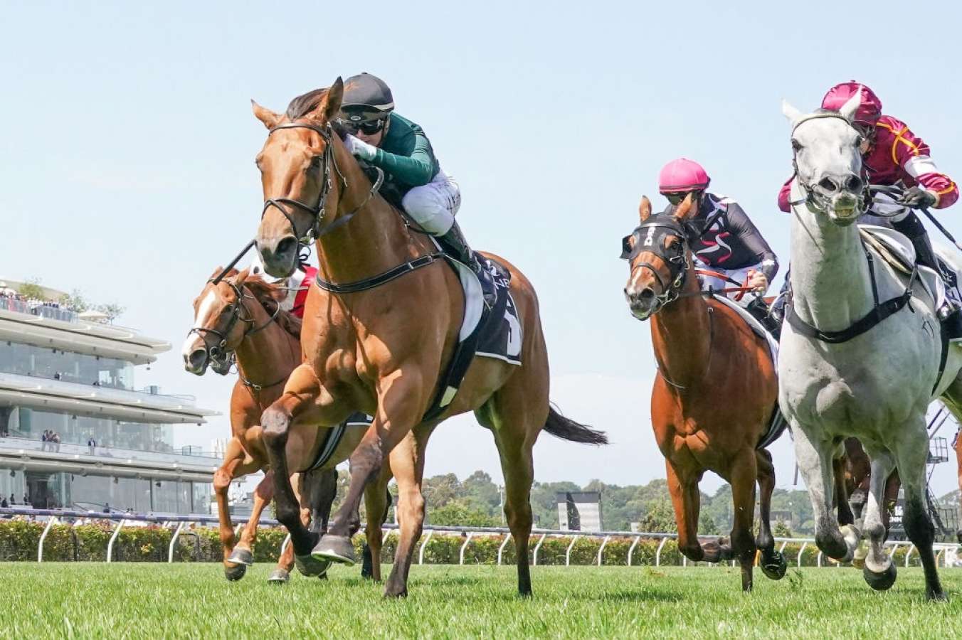 Punters post-race: Saturday racing in review, December 18 - Vimarsana News
