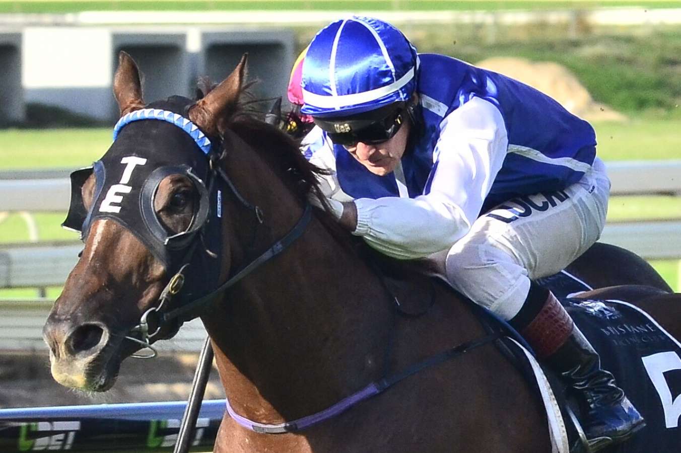 Toby Edmonds Gold Coast black bookers