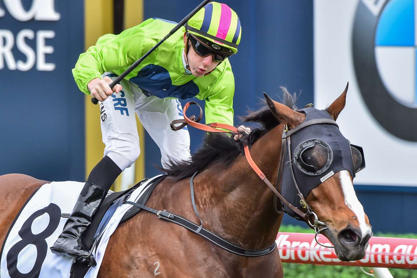 Mertens excited for Snitty Kitty return
