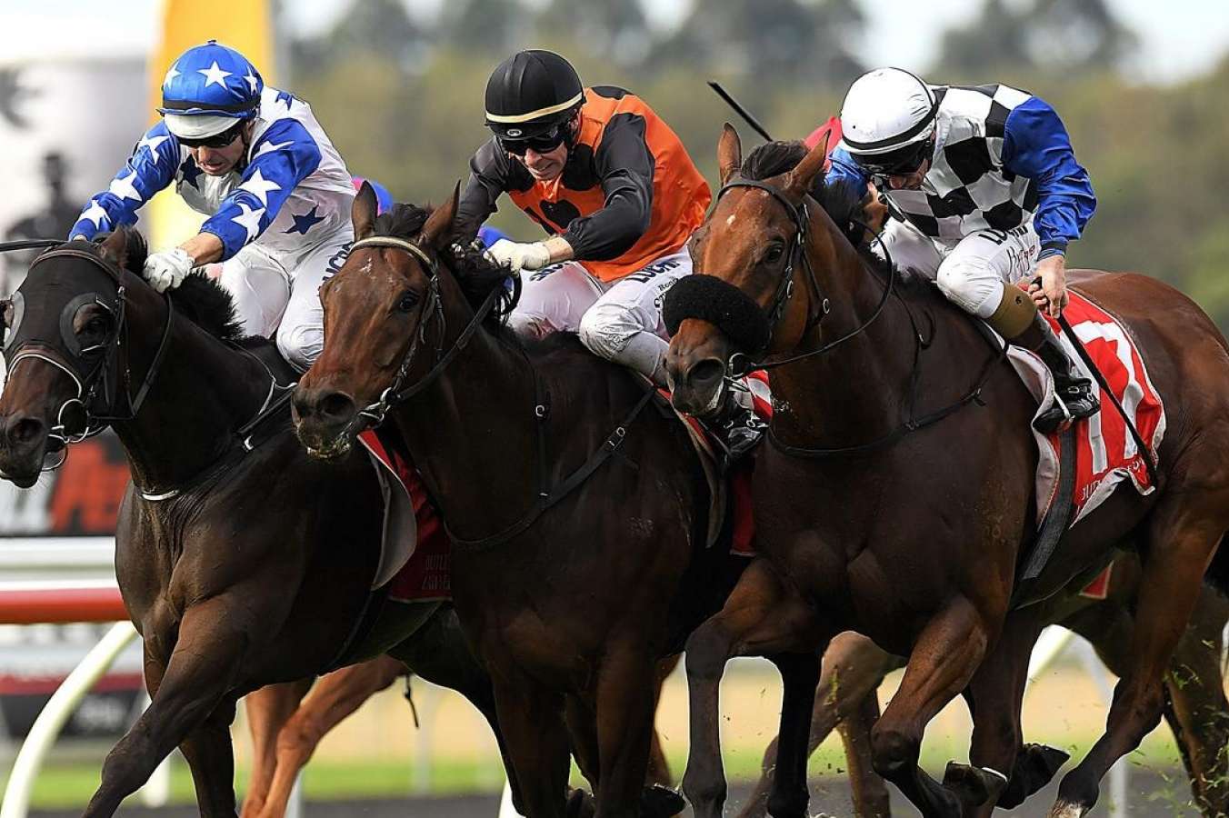 Sunshine Coast preview and tips: Sunday, December 3