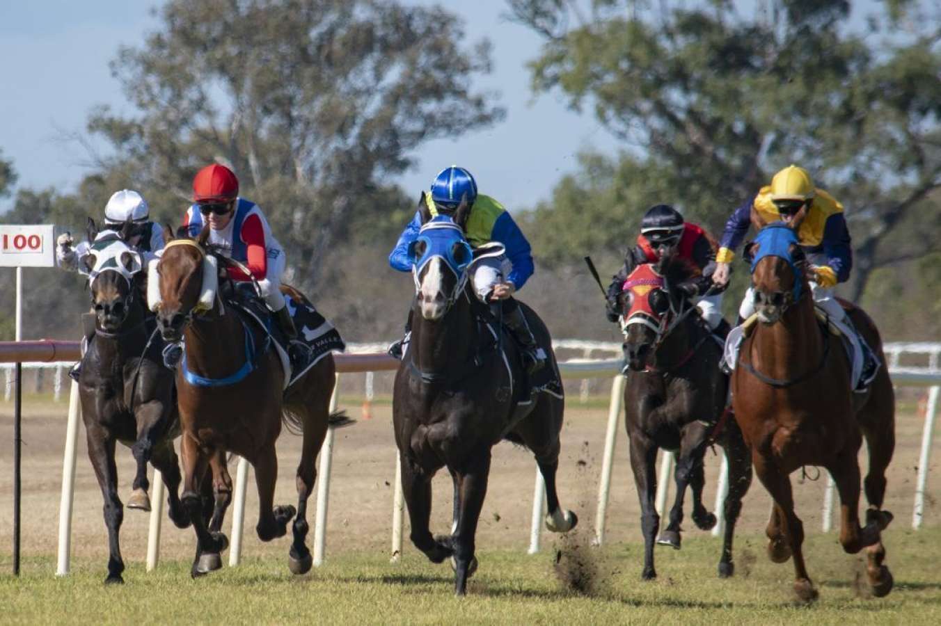 Sunday's racing heads to Gatton