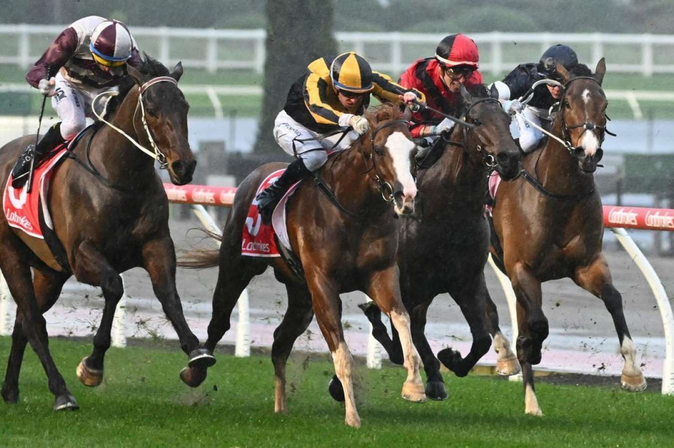 Melbourne Races Flash Melbourne racing snapshot: Five to follow, sectional stars