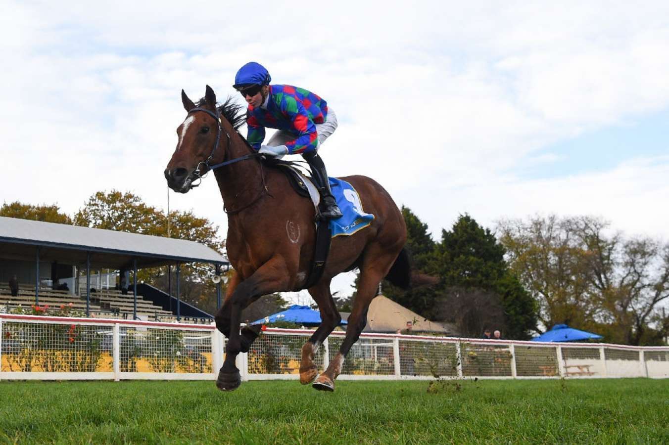 Well-fancied flops and excuses from Saturday racing