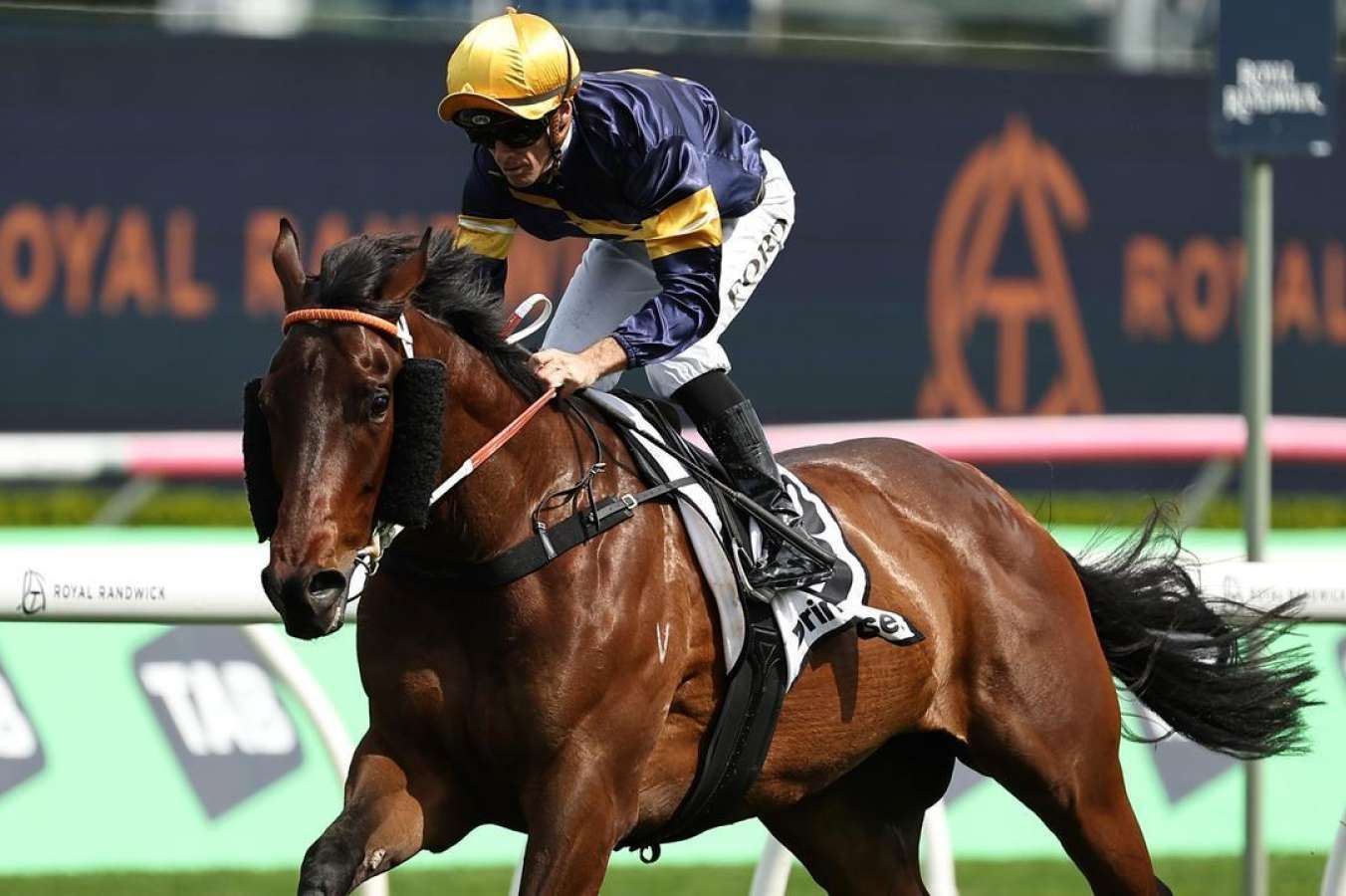 Favourite draws 11 of 11 in Spring Champion Stakes