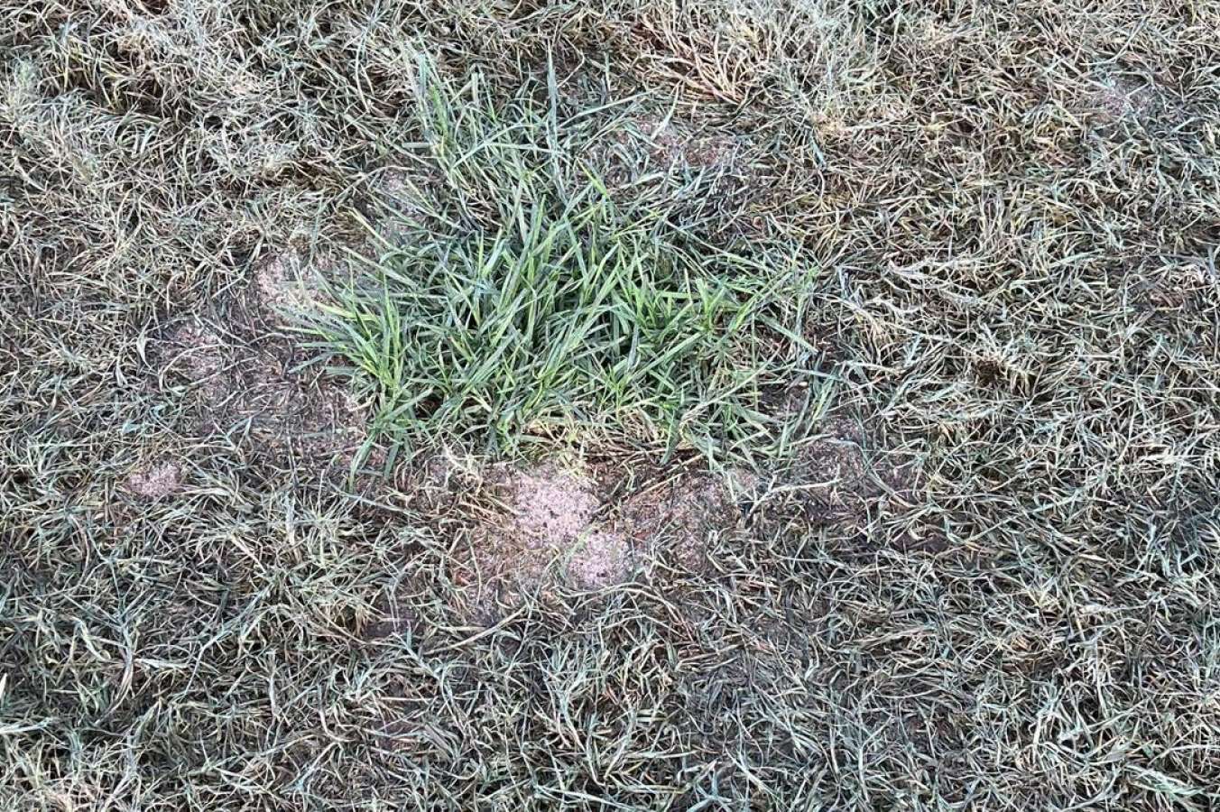 The Gold Coast track has deteriorated further