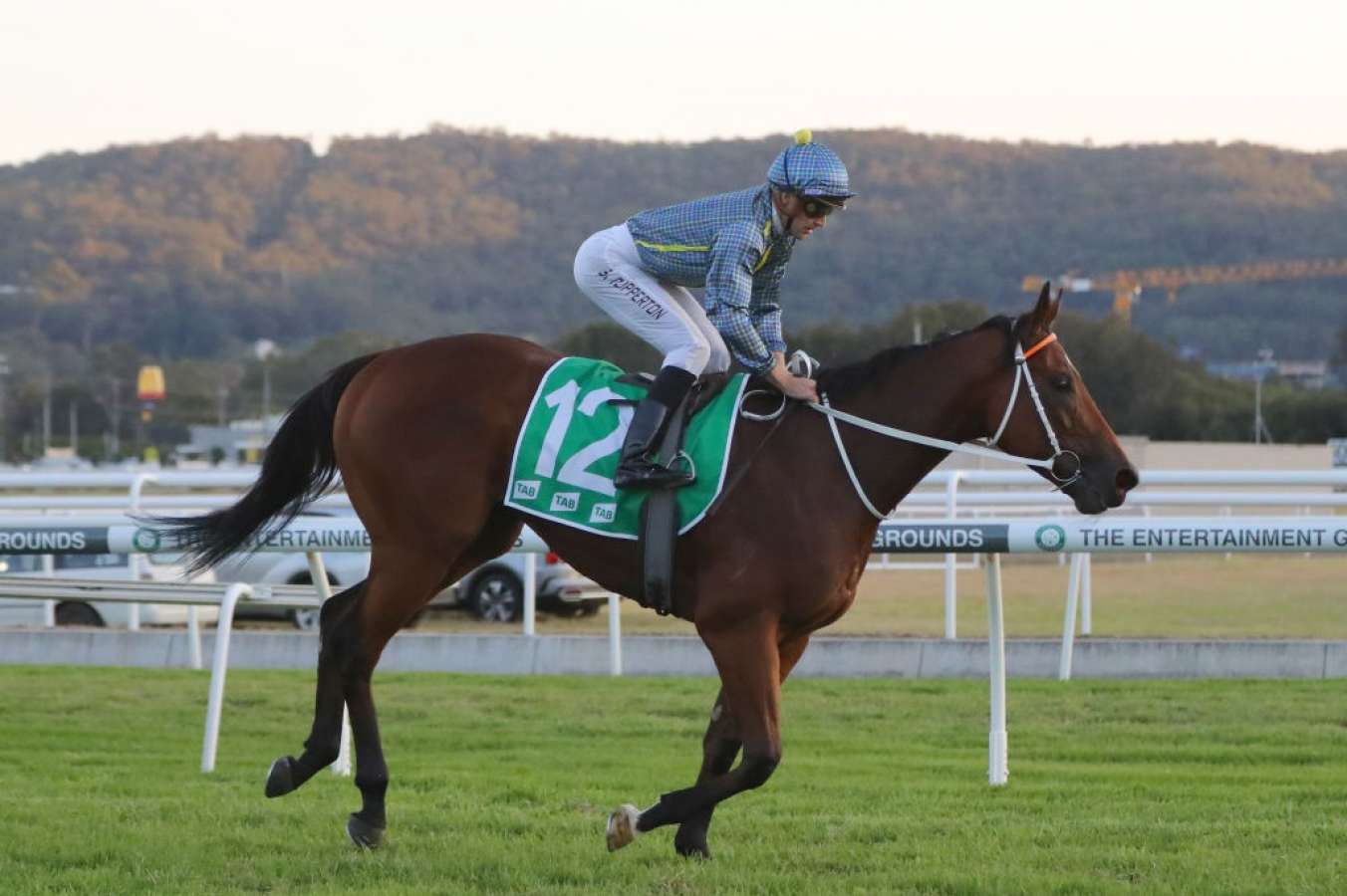 Big Bets Review: Place punters collect on winners - Vimarsana News