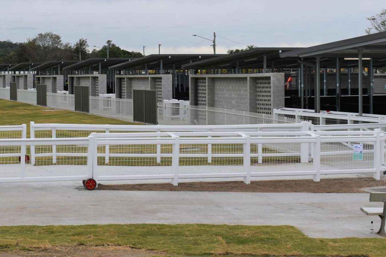Ipswich owner charged by stewards after altercation with trainer