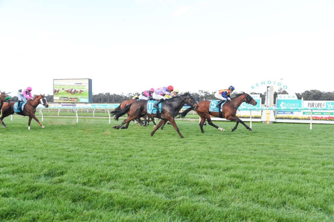 Bendigo preview and tips: Wednesday, September 25
