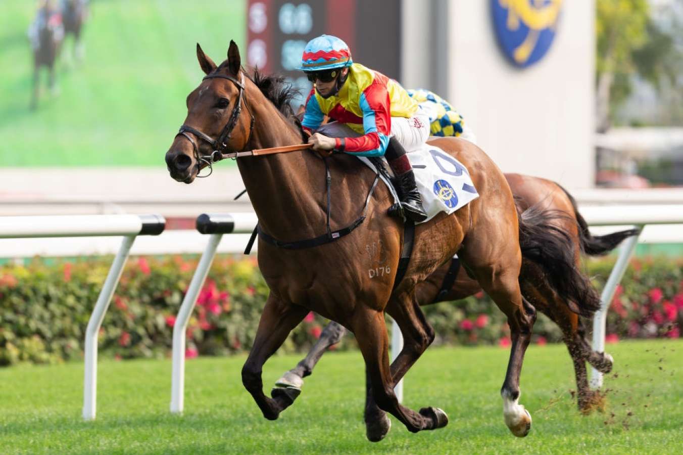Wellington Races Wellington capitalises on handicap conditions to vindicate Richard ...