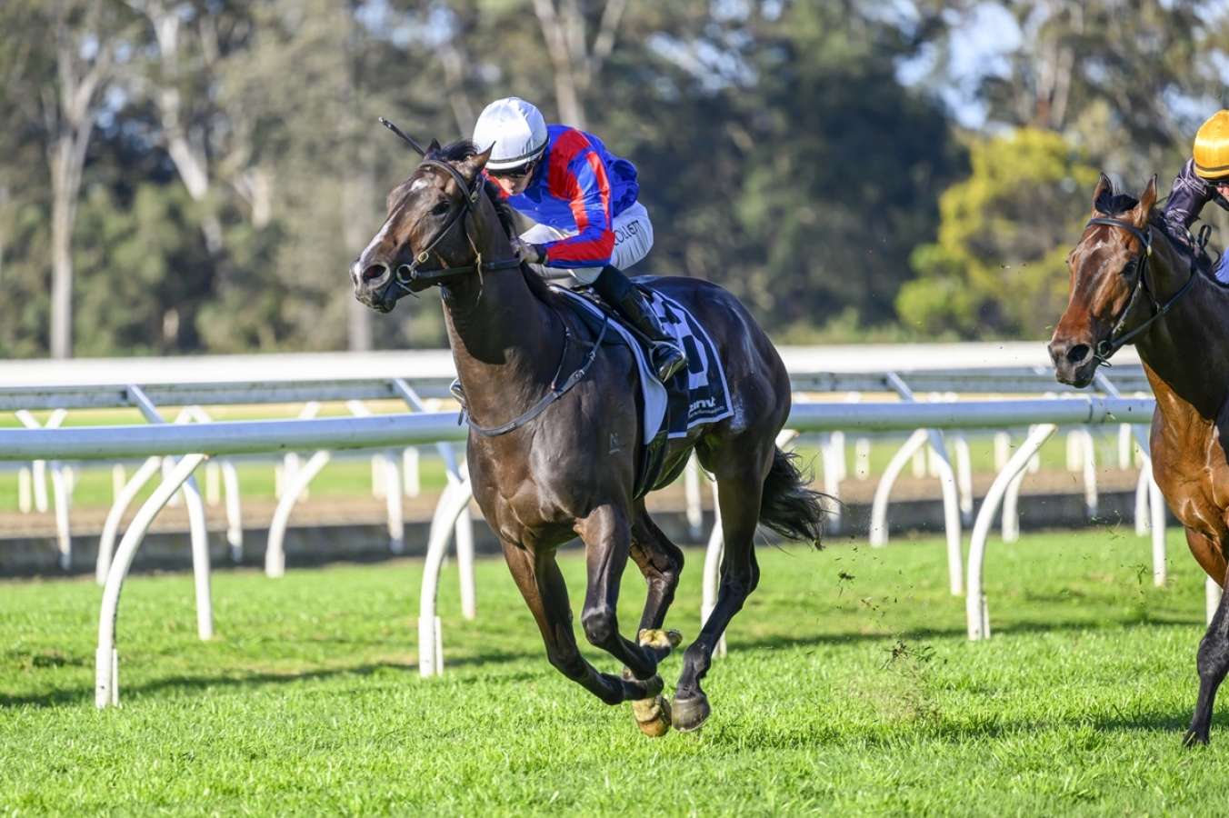 Race-by-race preview for Saturday's Randwick meeting [December 21]