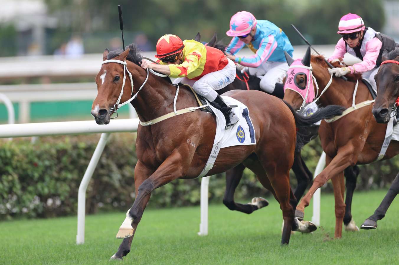 California Spangle showcases Champions Mile hopes with G2 Chairman's Trophy win - Vimarsana News